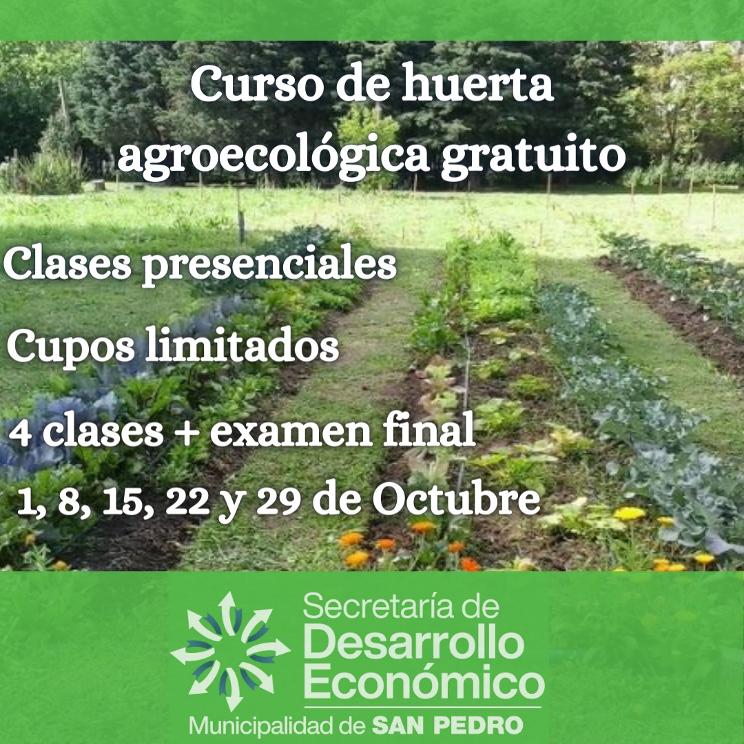 El Diario de San Pedro | Noticias locales y regionales