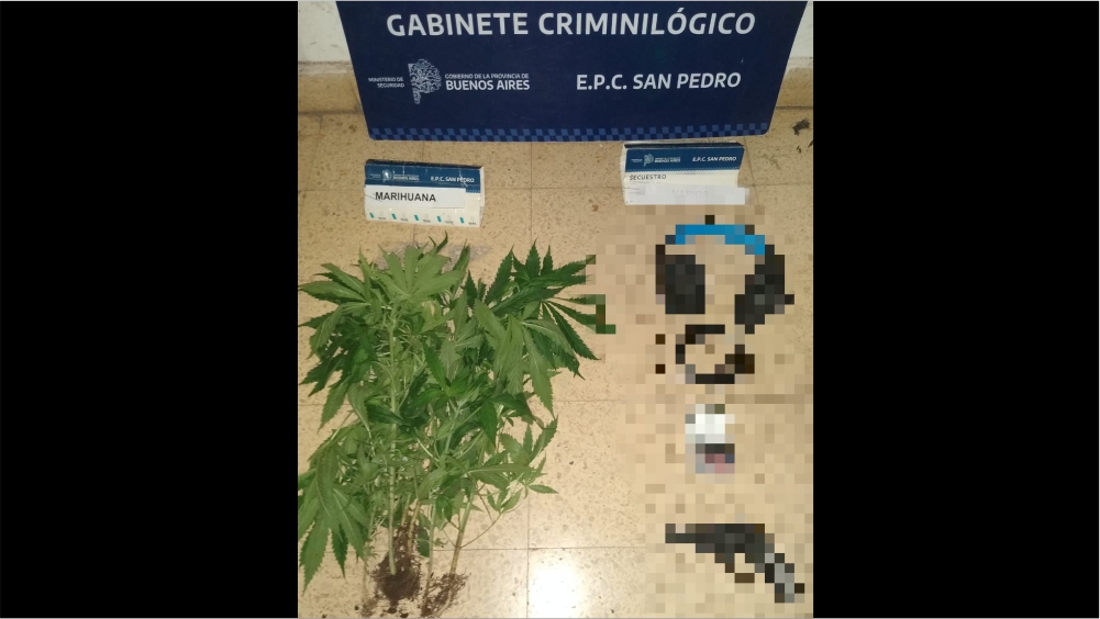 El Diario de San Pedro | Noticias locales y regionales