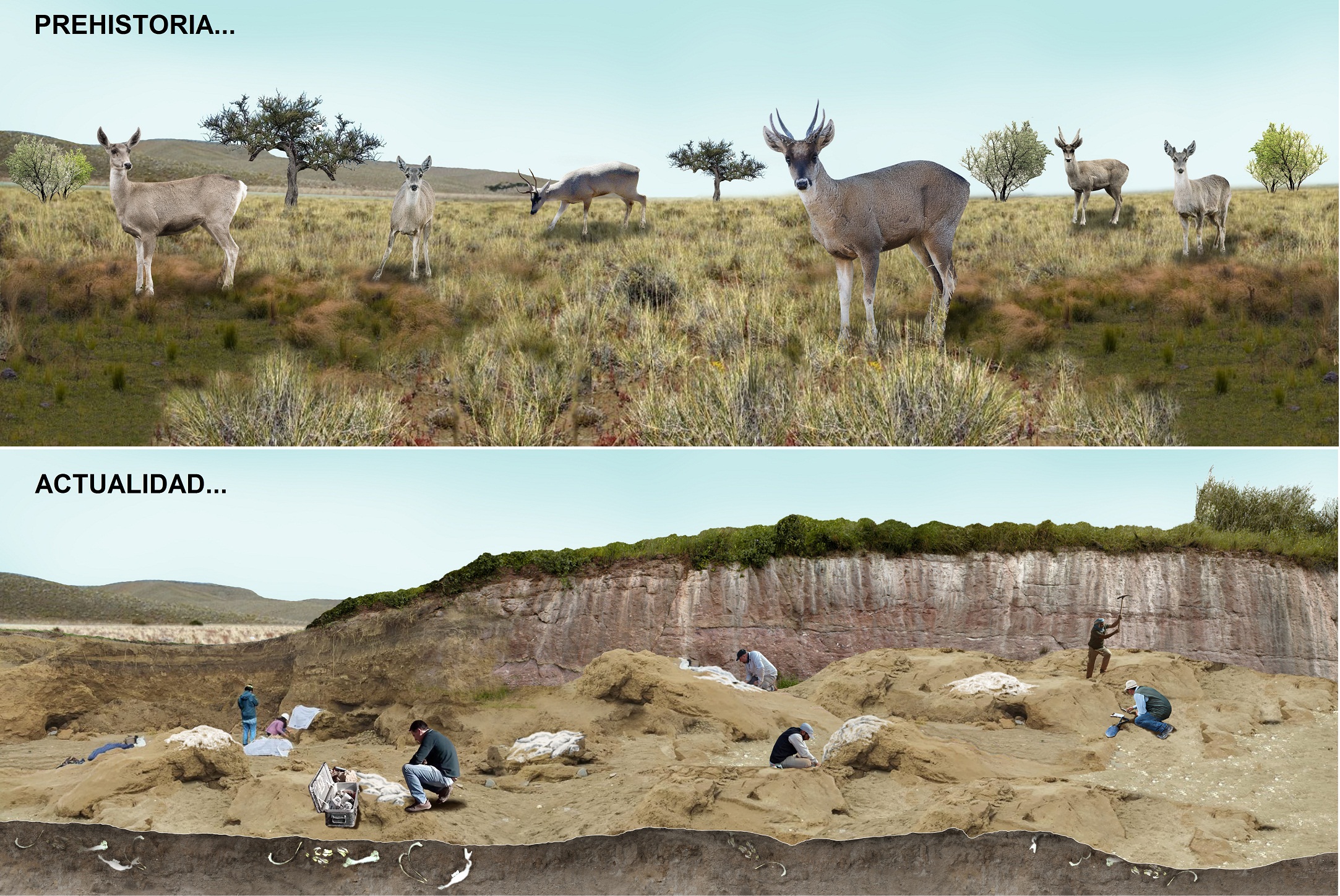 El Diario de San Pedro | Noticias locales y regionales