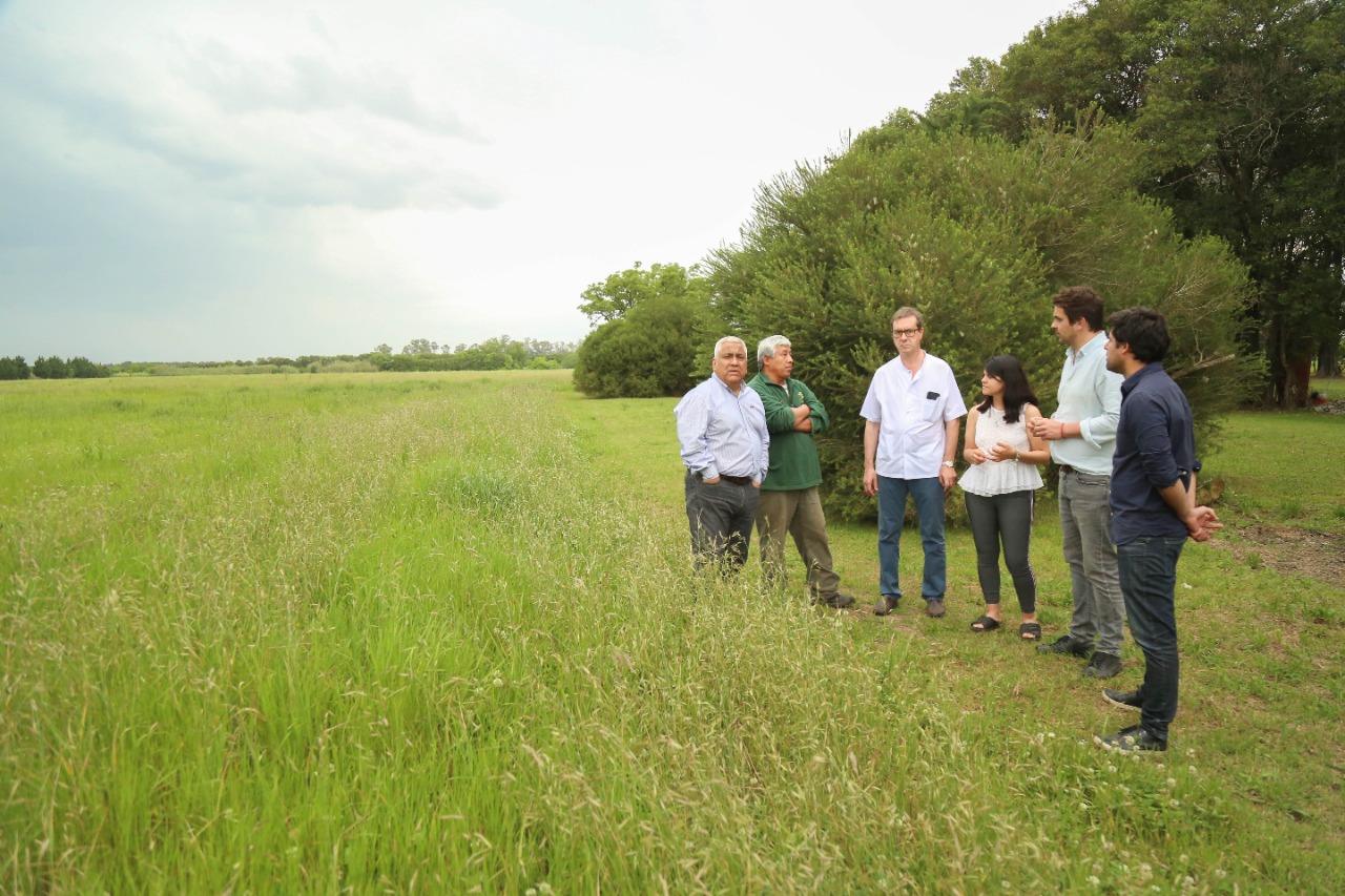El Diario de San Pedro | Noticias locales y regionales