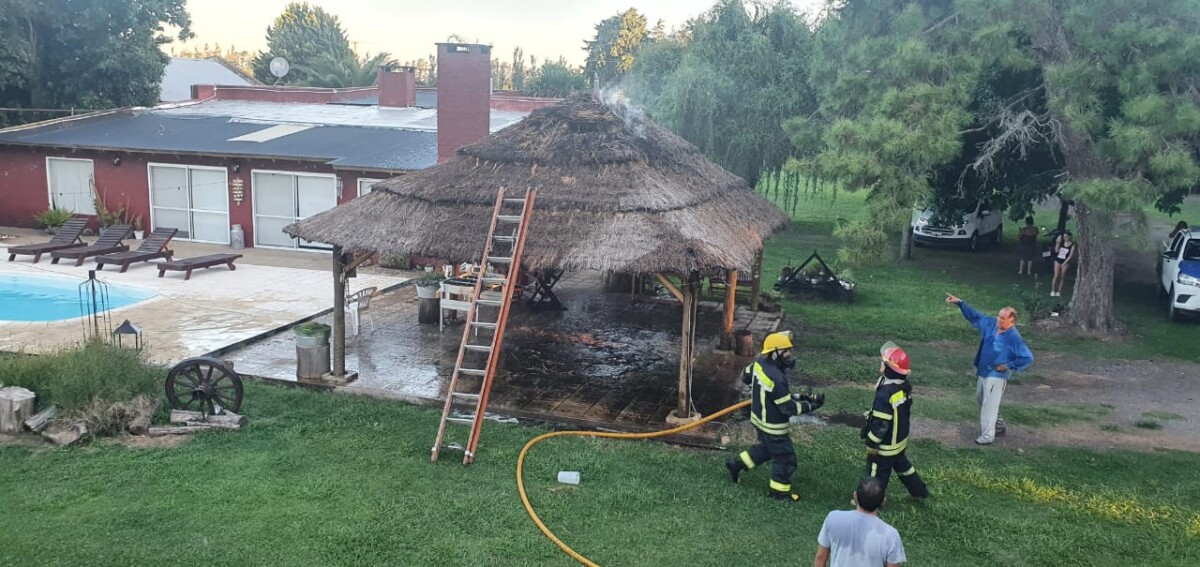 El Diario de San Pedro | Noticias locales y regionales