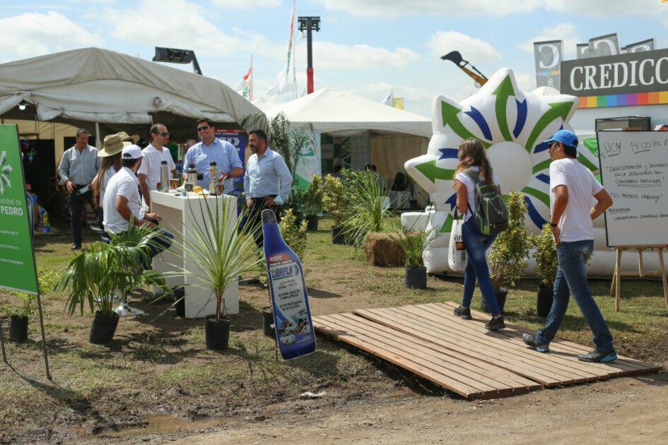 El Diario de San Pedro | Noticias locales y regionales