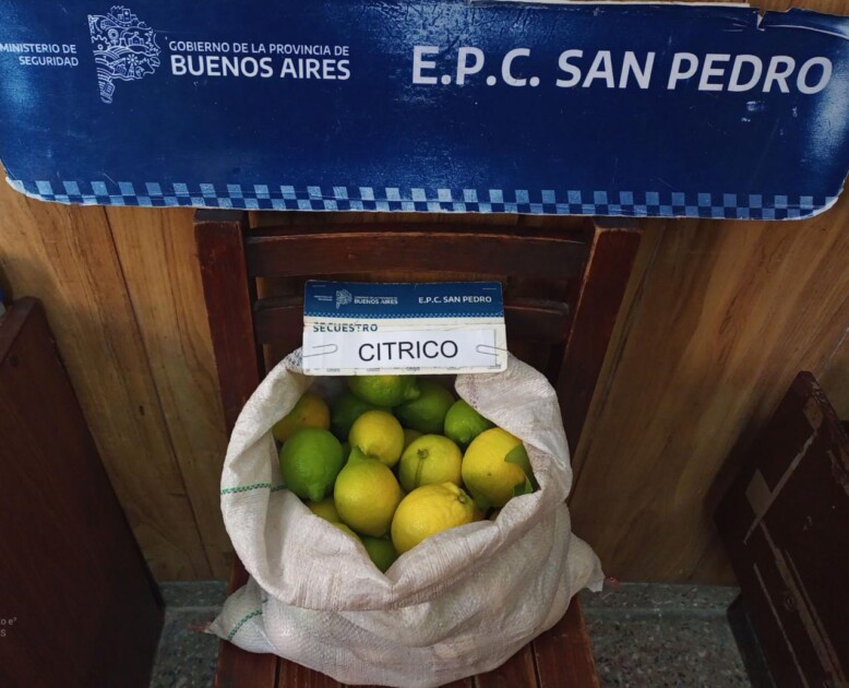 El Diario de San Pedro | Noticias locales y regionales