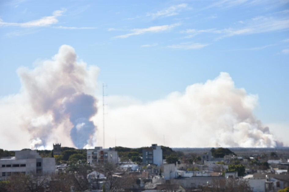 El Diario de San Pedro | Noticias locales y regionales