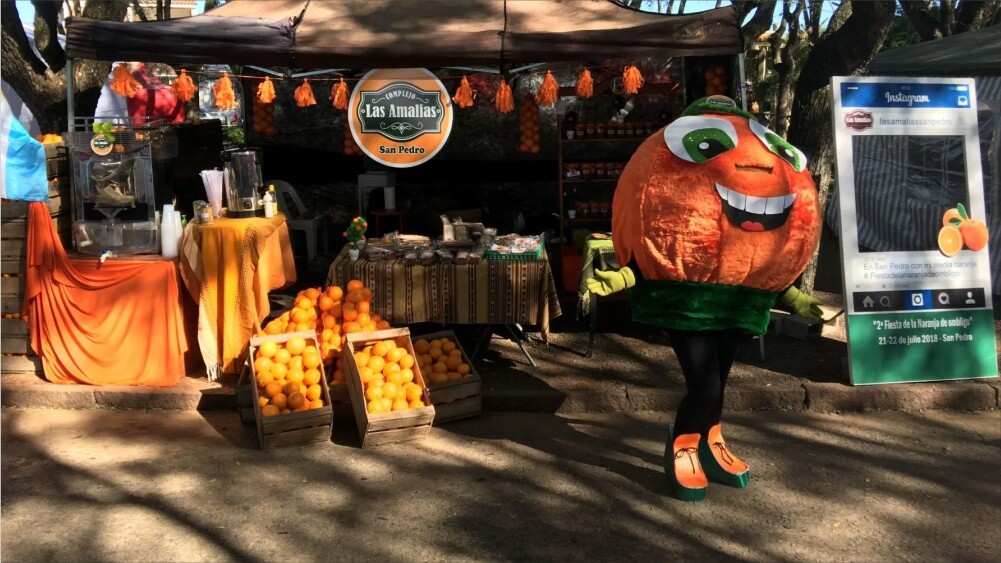 El Diario de San Pedro | Noticias locales y regionales