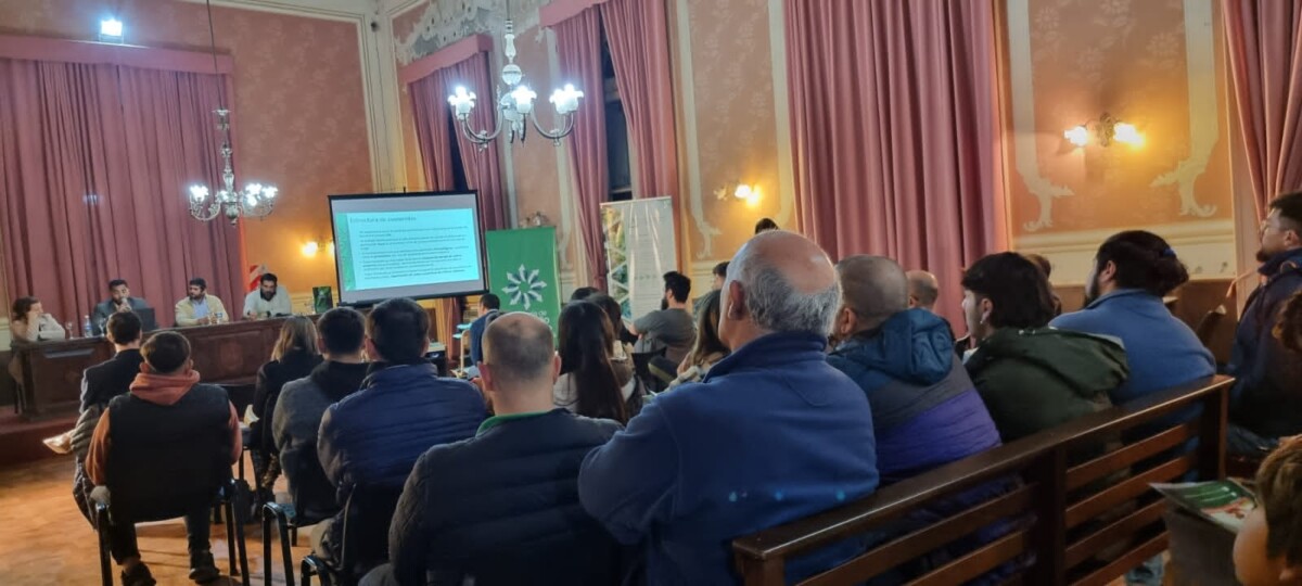 El Diario de San Pedro | Noticias locales y regionales