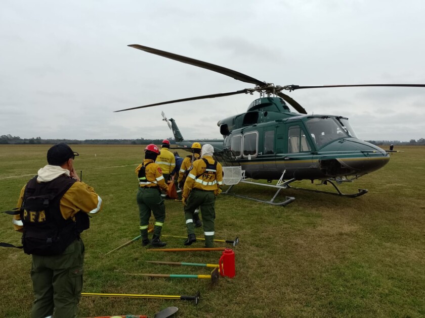 El Diario de San Pedro | Noticias locales y regionales