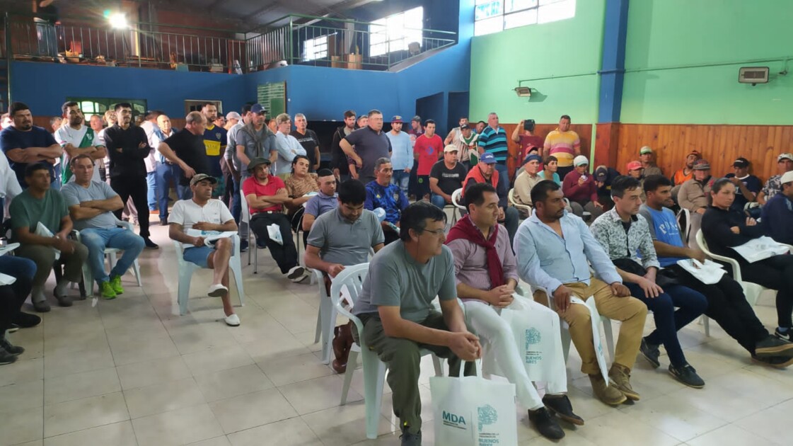 El Diario de San Pedro | Noticias locales y regionales