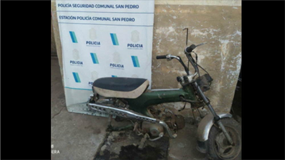 El Diario de San Pedro | Noticias locales y regionales