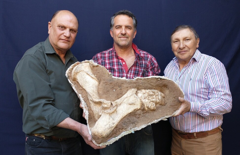 El Diario de San Pedro | Noticias locales y regionales