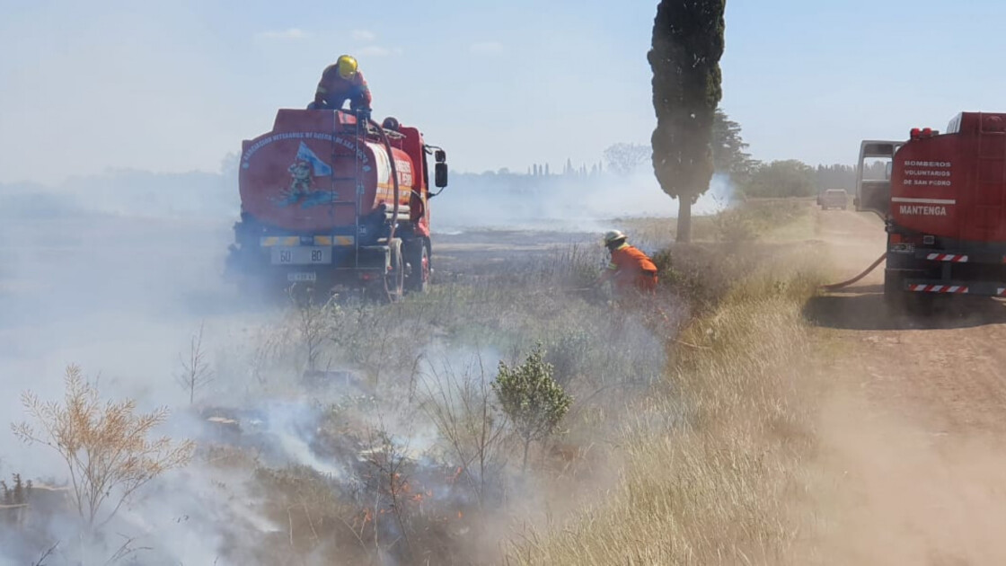 El Diario de San Pedro | Noticias locales y regionales