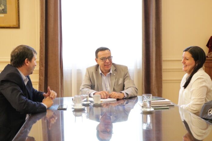 El Diario de San Pedro | Noticias locales y regionales