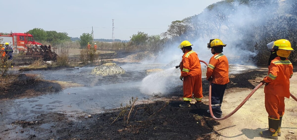 El Diario de San Pedro | Noticias locales y regionales