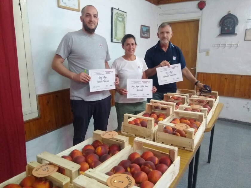 El Diario de San Pedro | Noticias locales y regionales