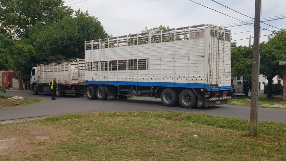 El Diario de San Pedro | Noticias locales y regionales