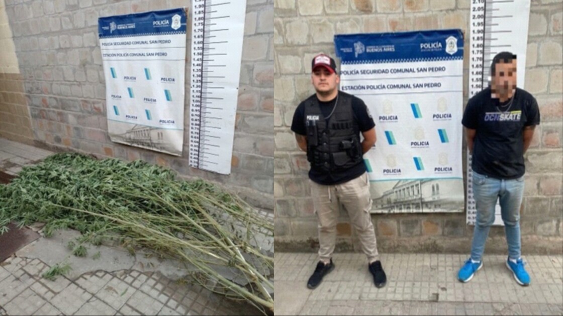 El Diario de San Pedro | Noticias locales y regionales