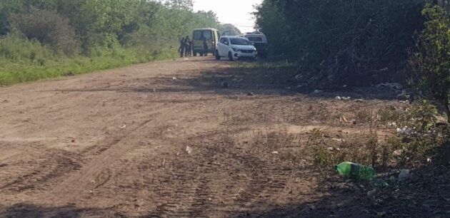 El Diario de San Pedro | Noticias locales y regionales