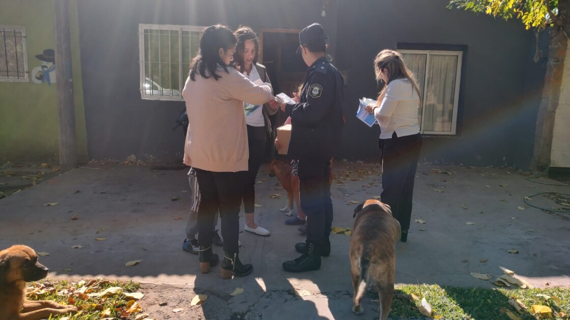 El Diario de San Pedro | Noticias locales y regionales