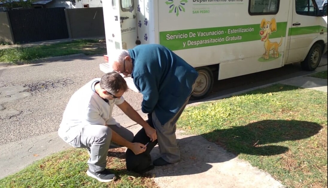 El Diario de San Pedro | Noticias locales y regionales