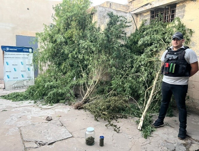 El Diario de San Pedro | Noticias locales y regionales