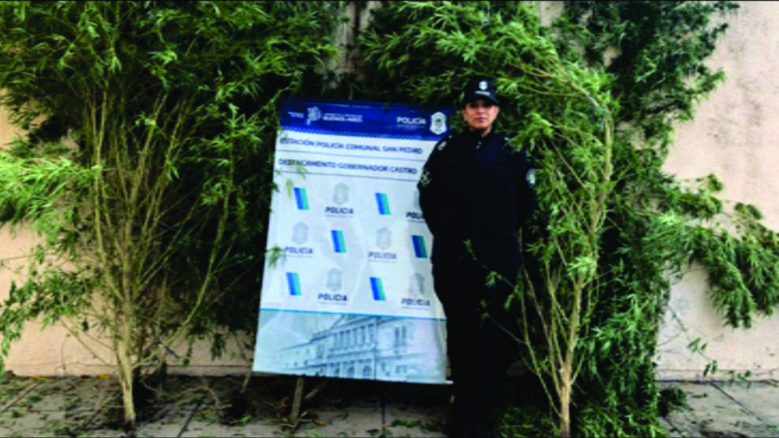 El Diario de San Pedro | Noticias locales y regionales