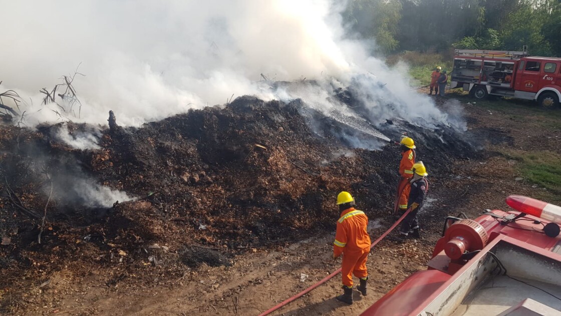 El Diario de San Pedro | Noticias locales y regionales