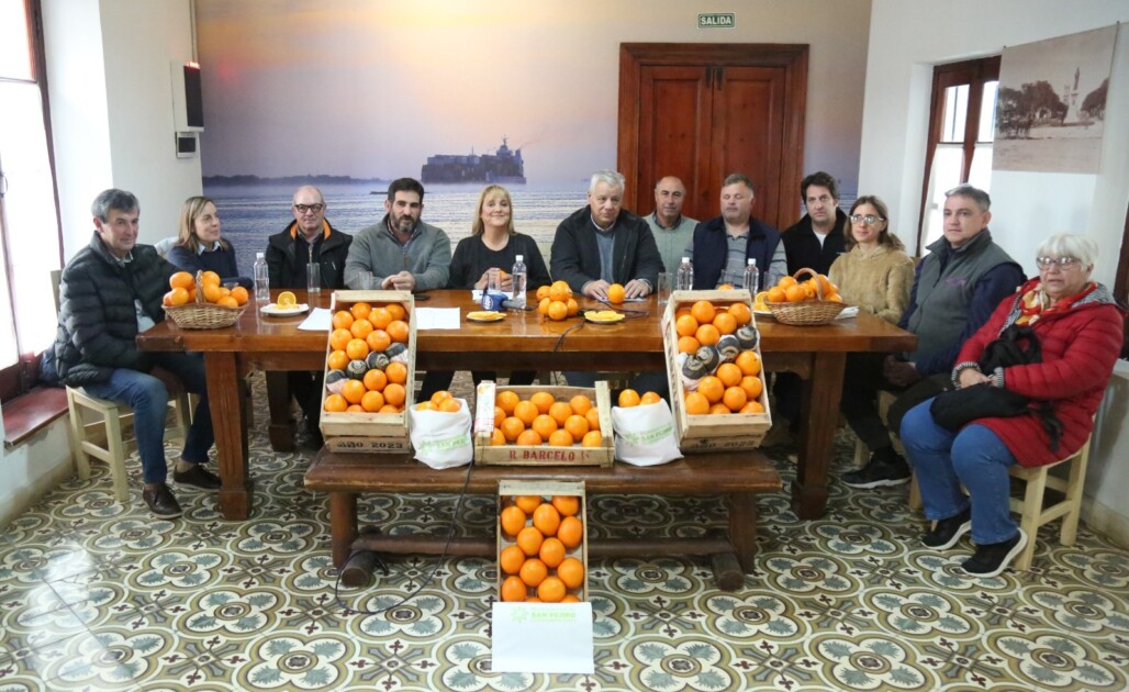 El Diario de San Pedro | Noticias locales y regionales