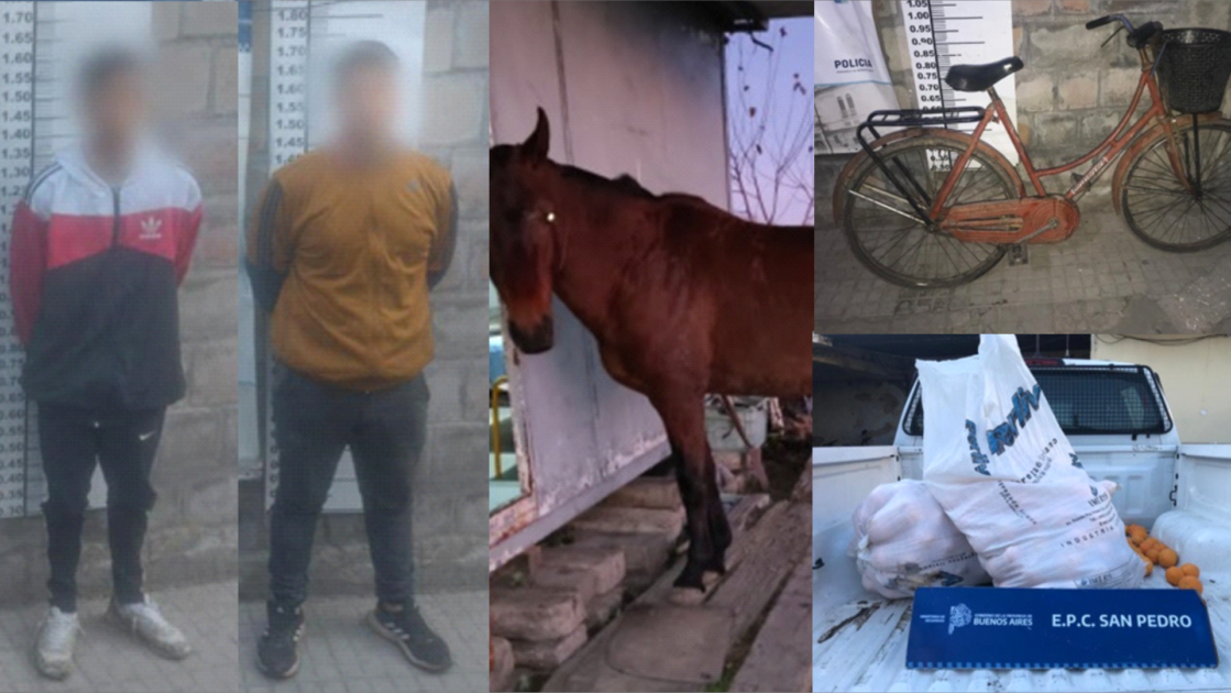 El Diario de San Pedro | Noticias locales y regionales