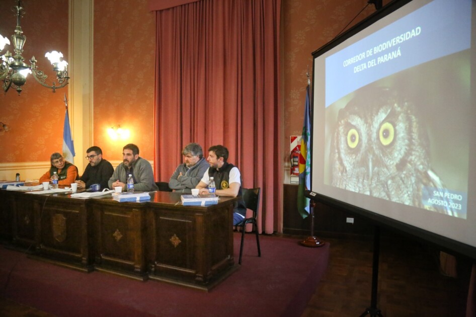 El Diario de San Pedro | Noticias locales y regionales