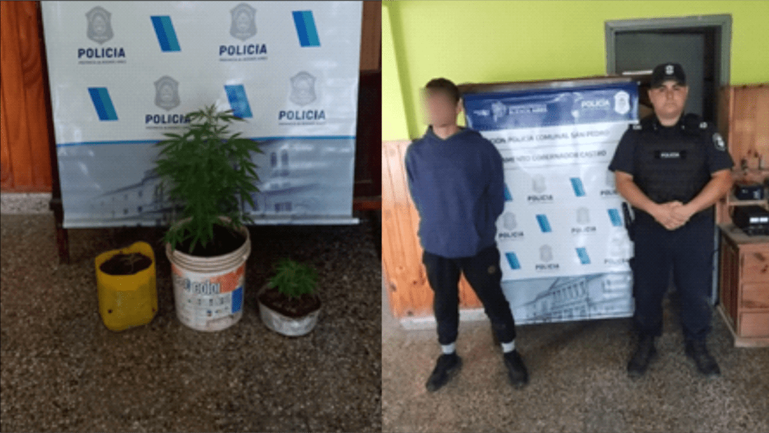 El Diario de San Pedro | Noticias locales y regionales