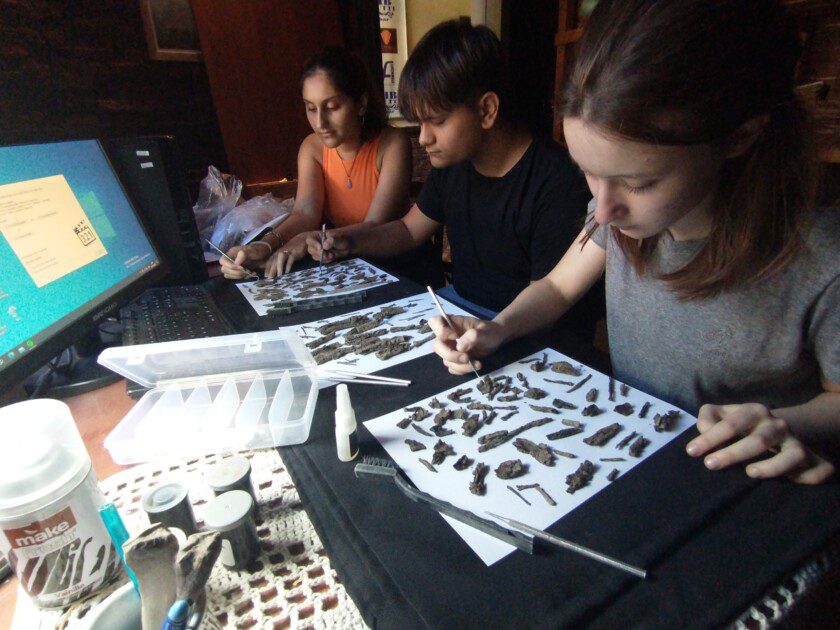 El Diario de San Pedro | Noticias locales y regionales