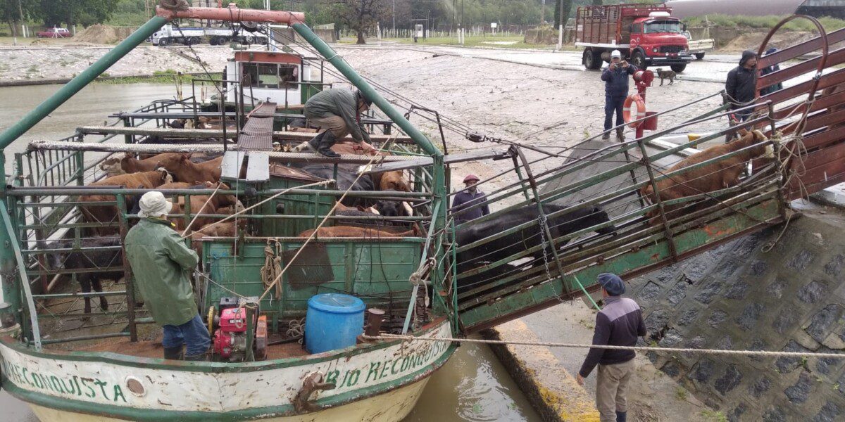 El Diario de San Pedro | Noticias locales y regionales