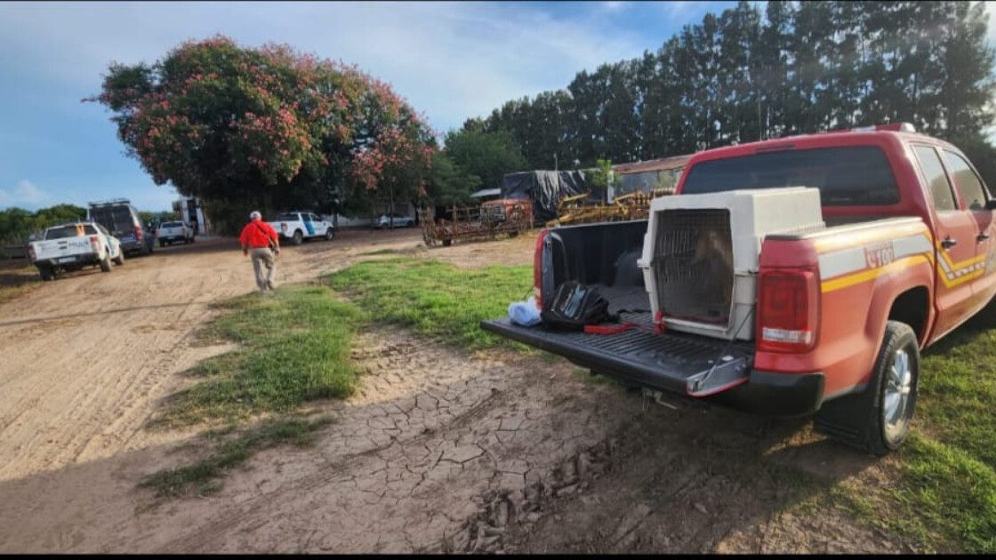 El Diario de San Pedro | Noticias locales y regionales