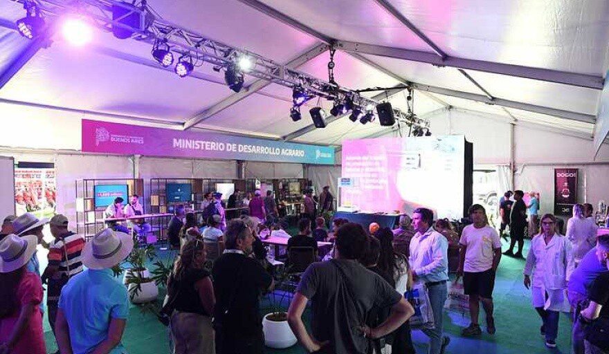 El Diario de San Pedro | Noticias locales y regionales