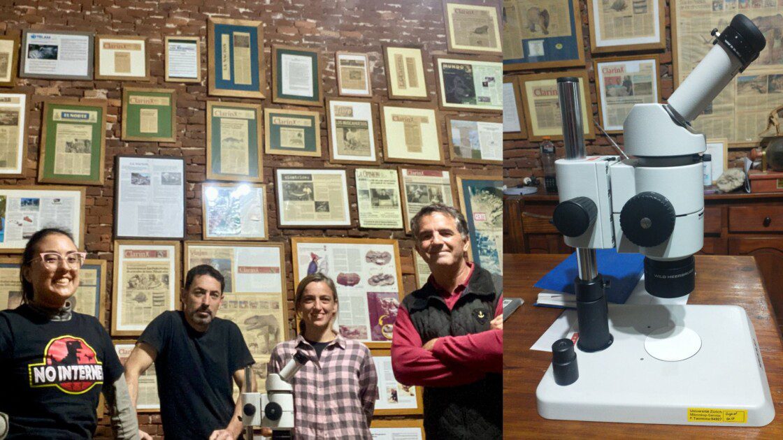 El Diario de San Pedro | Noticias locales y regionales