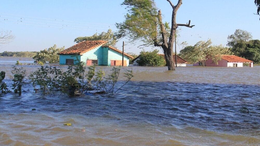 El Diario de San Pedro | Noticias locales y regionales