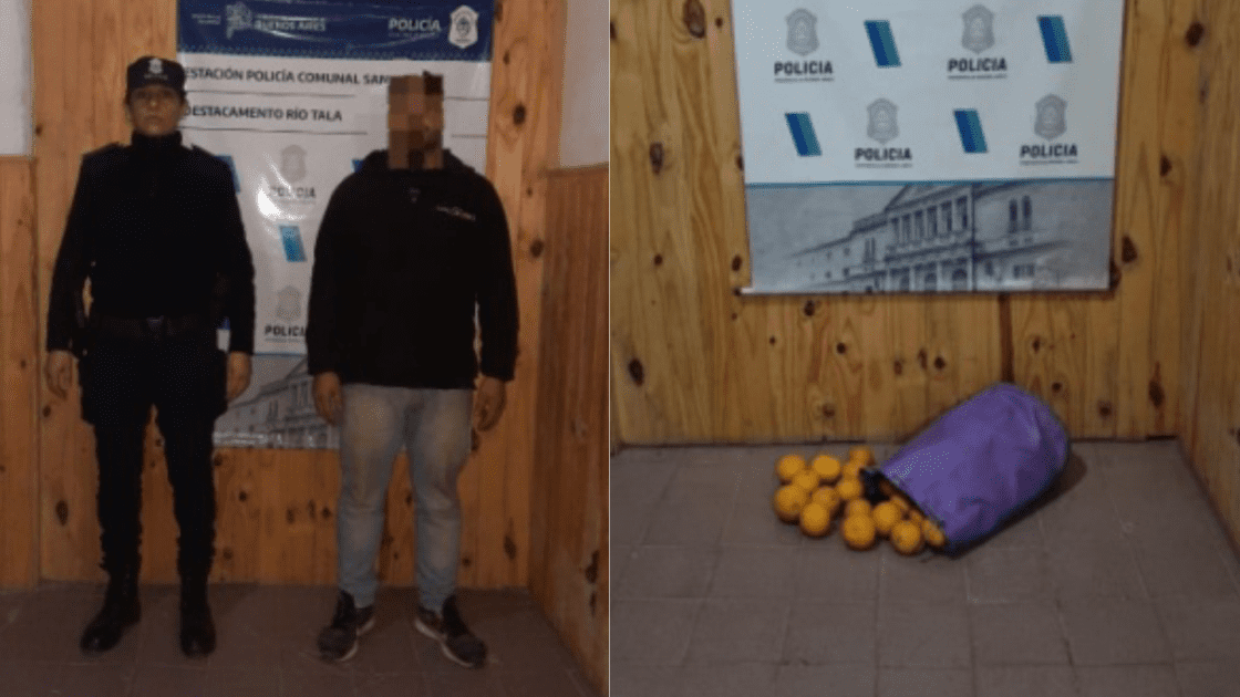 El Diario de San Pedro | Noticias locales y regionales