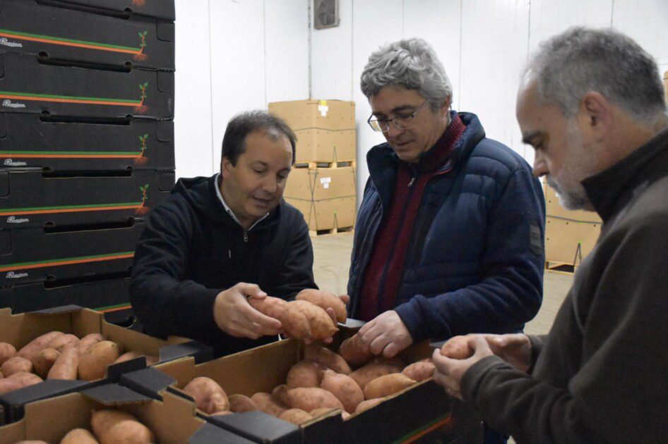 El Diario de San Pedro | Noticias locales y regionales