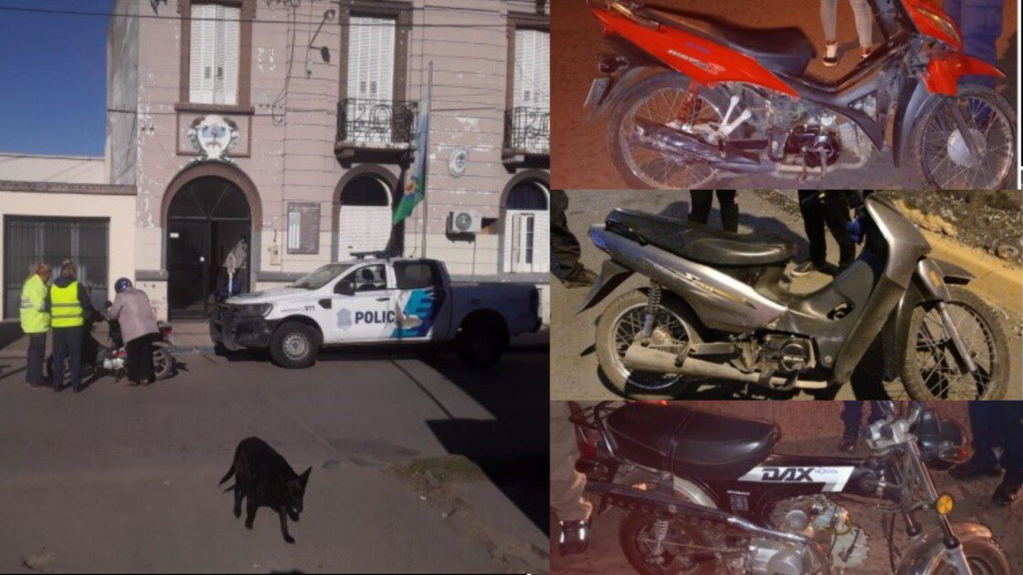 El Diario de San Pedro | Noticias locales y regionales