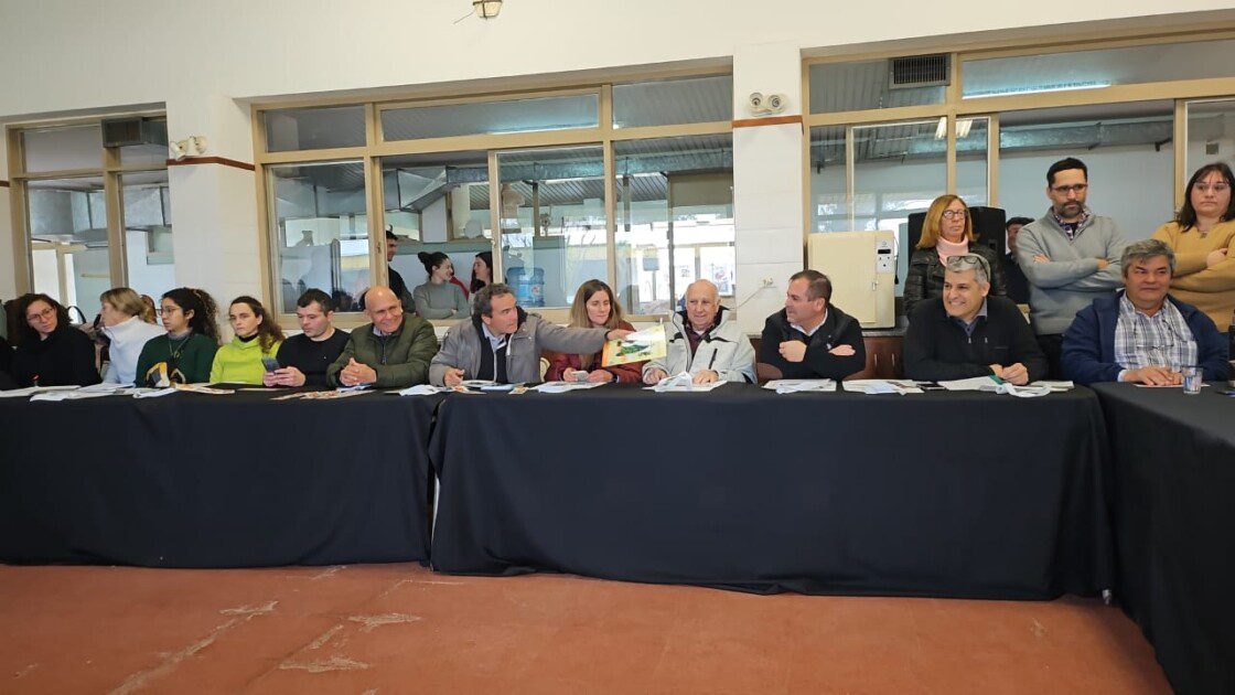 El Diario de San Pedro | Noticias locales y regionales