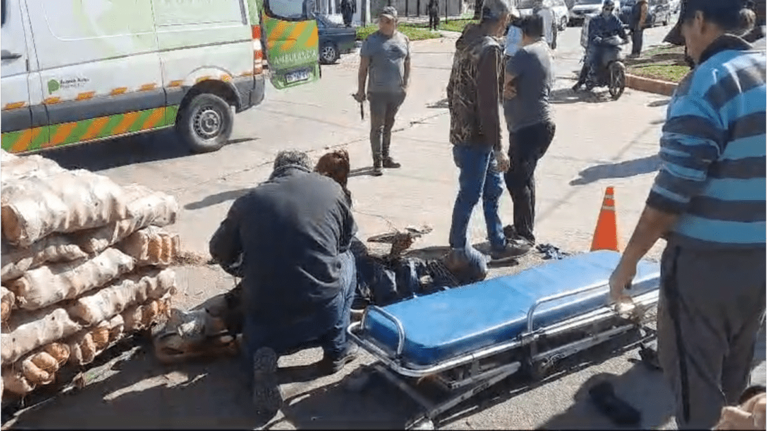 El Diario de San Pedro | Noticias locales y regionales