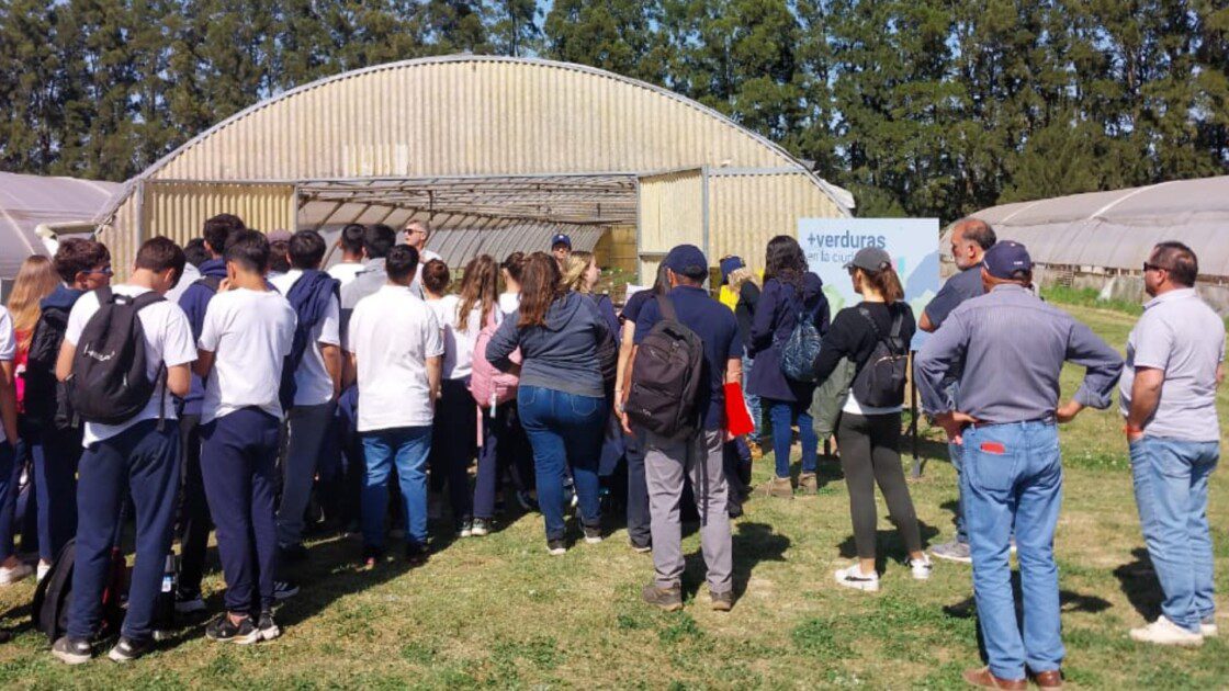 El Diario de San Pedro | Noticias locales y regionales