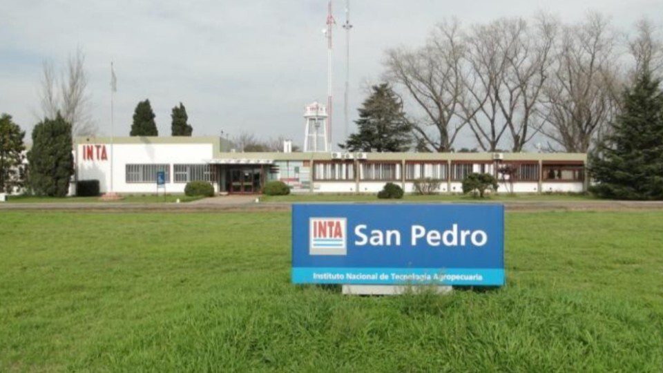 El Diario de San Pedro | Noticias locales y regionales