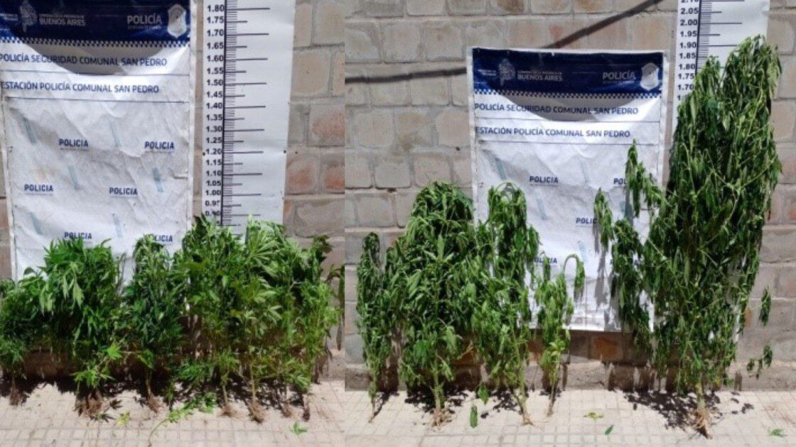 El Diario de San Pedro | Noticias locales y regionales