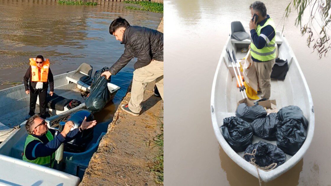 El Diario de San Pedro | Noticias locales y regionales