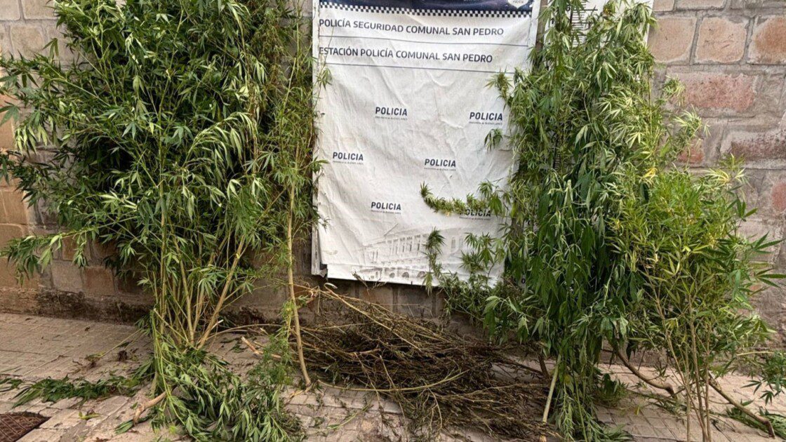 El Diario de San Pedro | Noticias locales y regionales