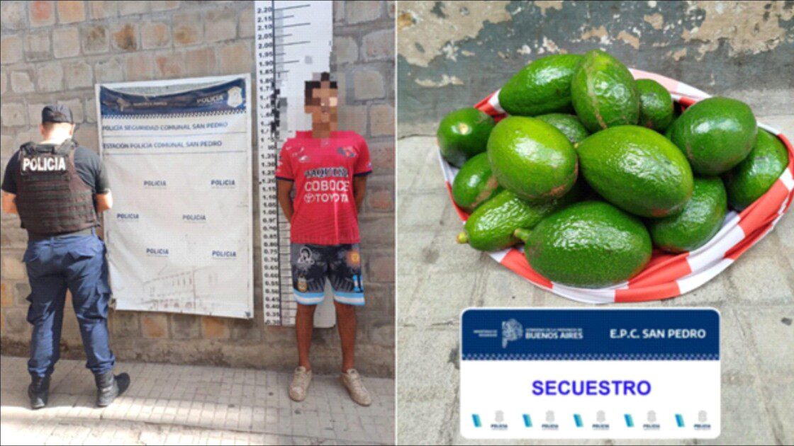 El Diario de San Pedro | Noticias locales y regionales