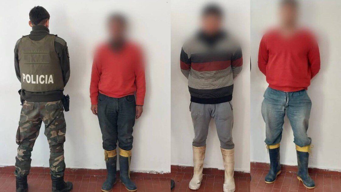 El Diario de San Pedro | Noticias locales y regionales