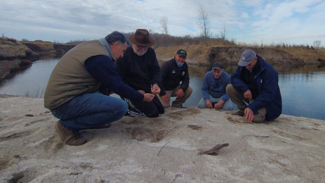 El Diario de San Pedro | Noticias locales y regionales