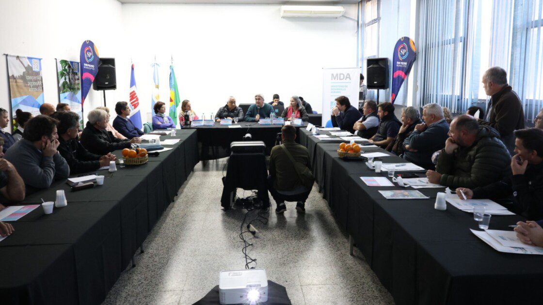 El Diario de San Pedro | Noticias locales y regionales